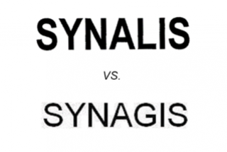 Khiếu nại lần 2, nhãn hiệu “SYNAGIS” vẫn bị từ chối bảo hộ